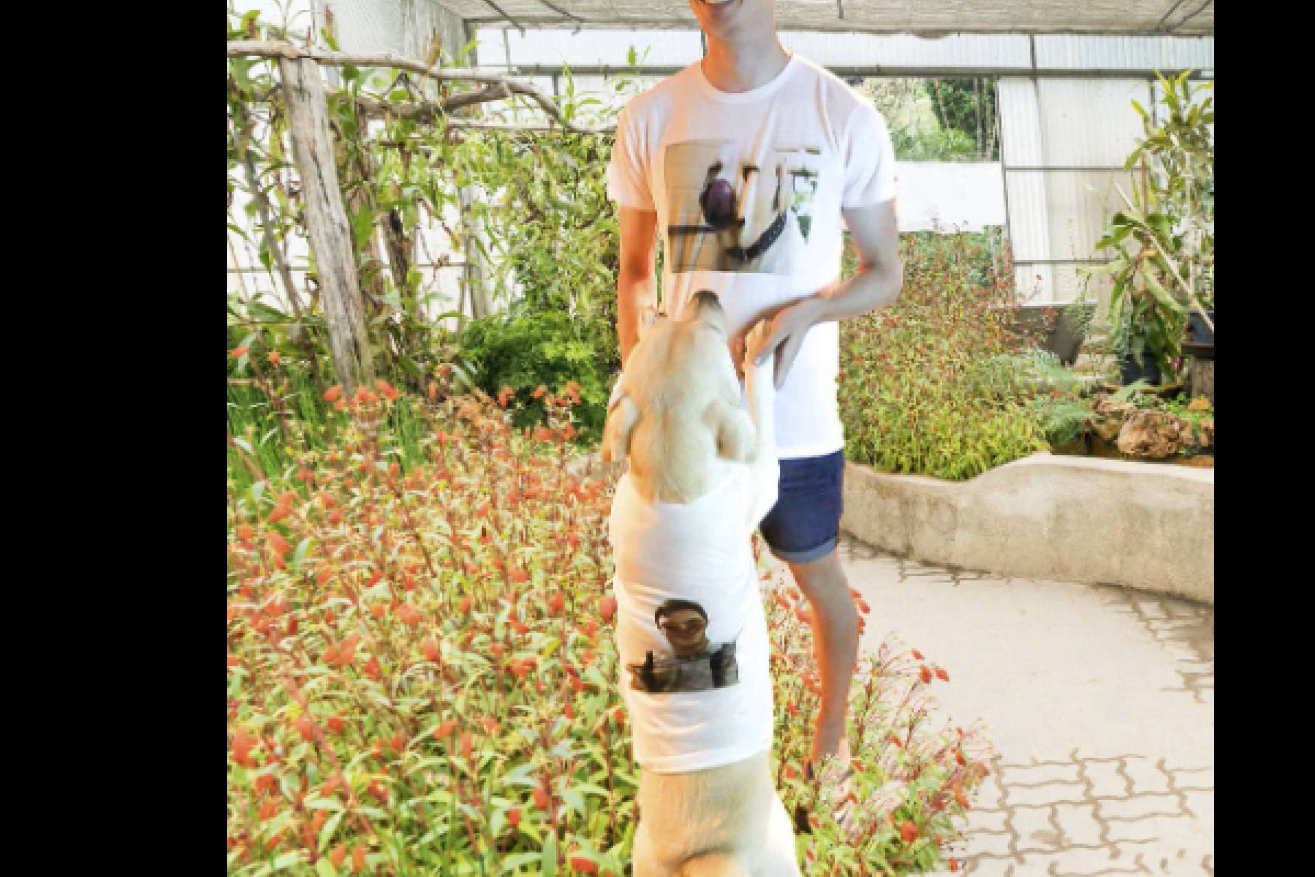 ZonaShirt, personalized gifts