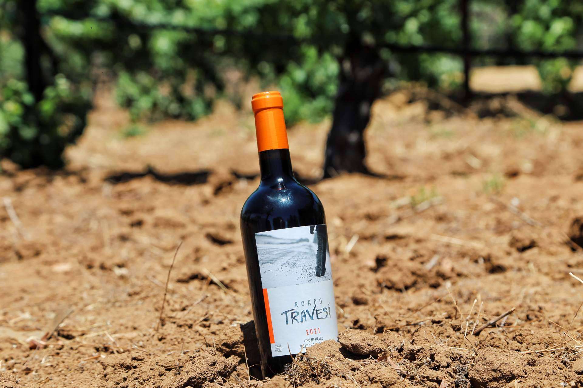 Rondo del Valle; una historia de amor familiar por el vino y el Valle de Guadalupe