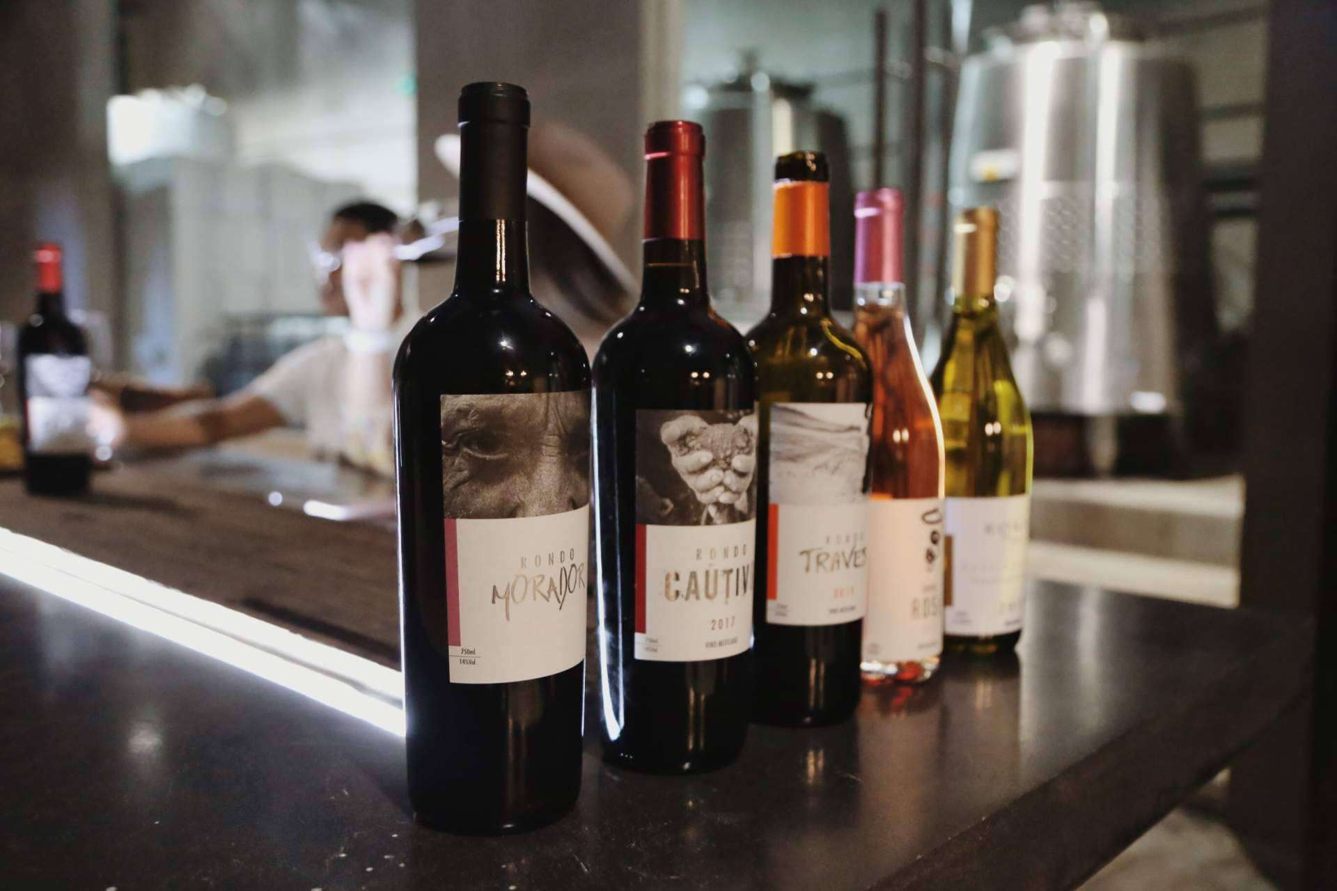 Disfrutar del buen vino de una manera diferente con Rondo del Valle