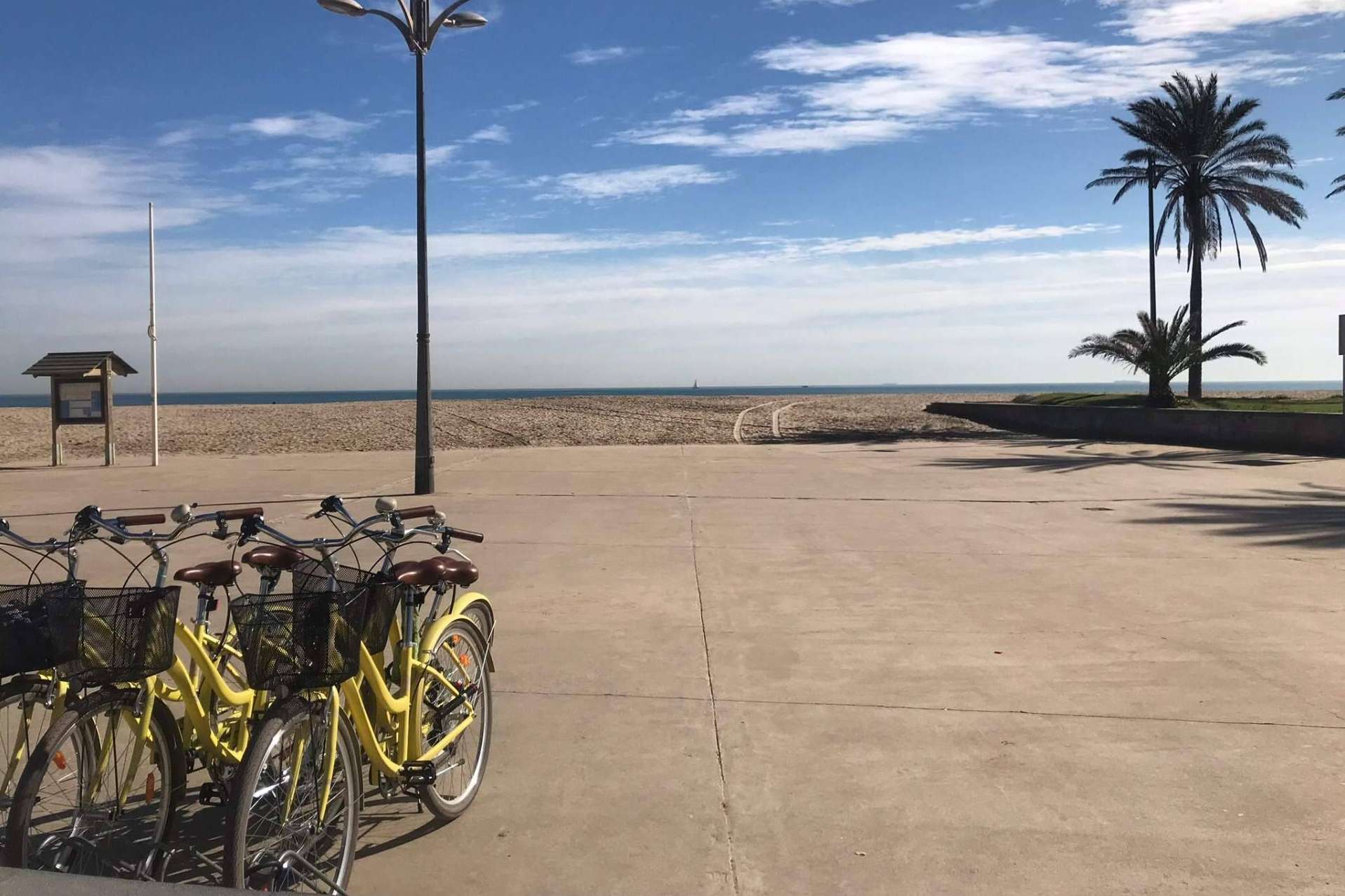 Alquiler de bicicletas con entrega en Valencia y alrededores