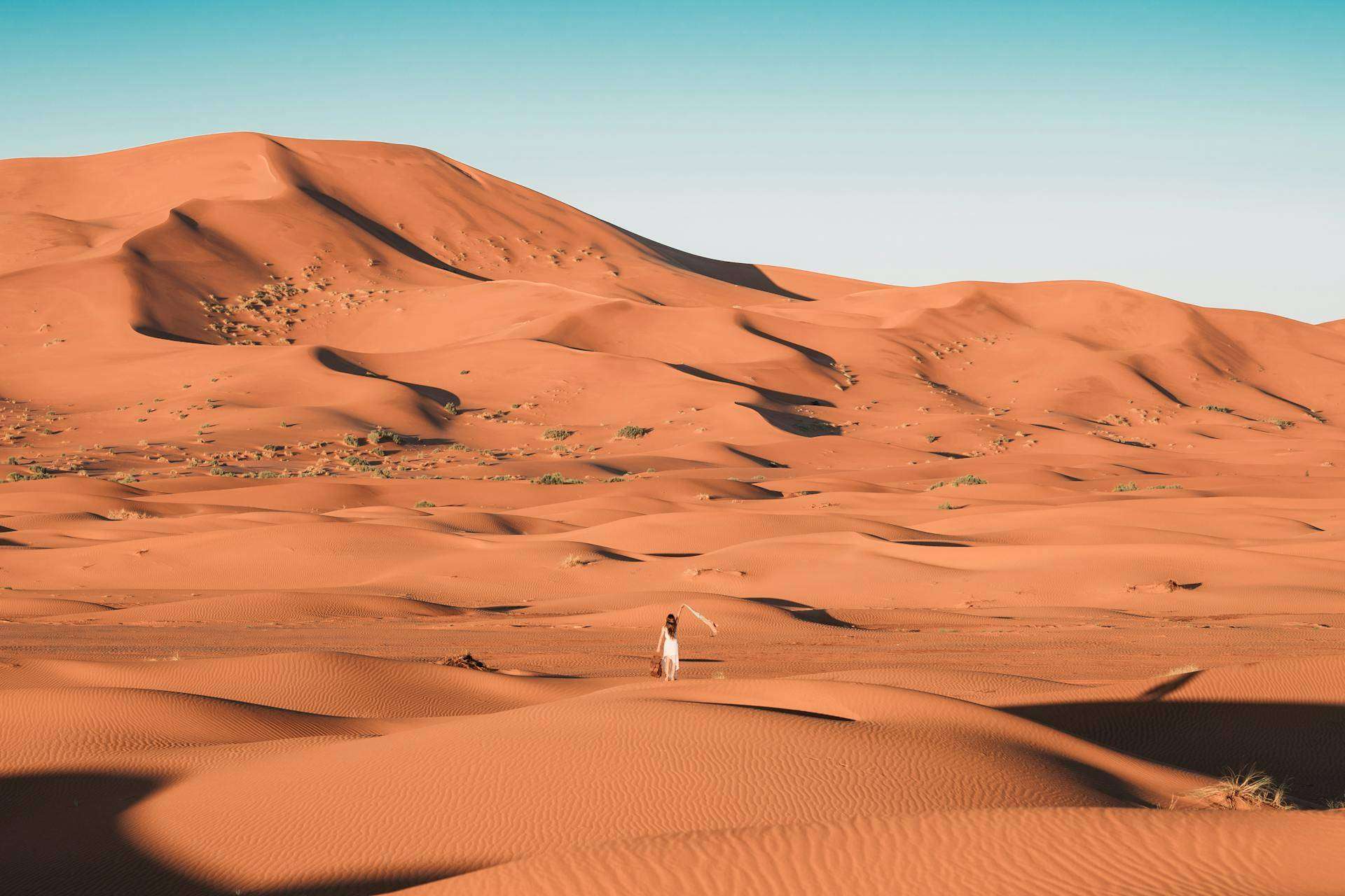 Feel the Magic of Morocco with Ultimate Desert Adventures and Day Trips from Marrakech