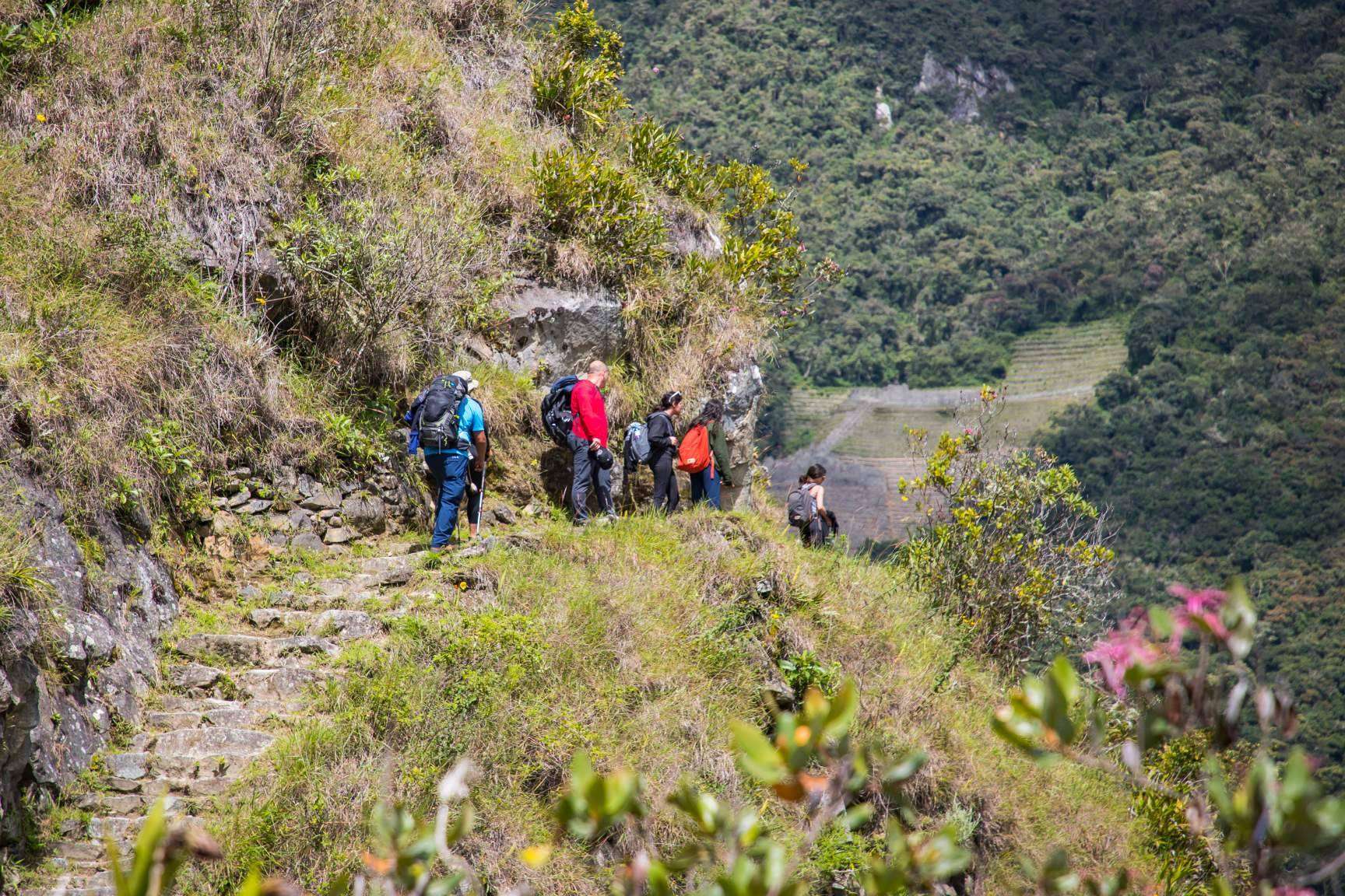 TreXperience ofrece una experiencia inolvidable de dos días con su Camino Inca Corto a Machu Picchu