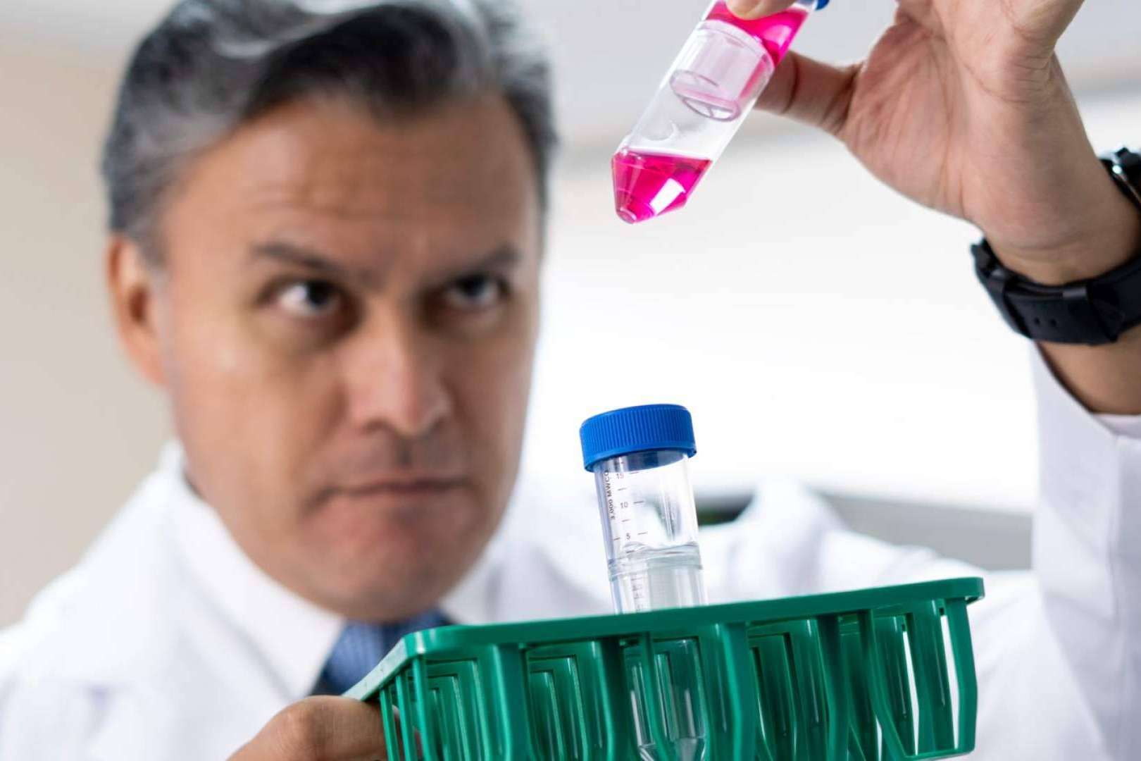 ONCOVIX; Nuevos avances en inmunoterapia DEX personalizada para cáncer
