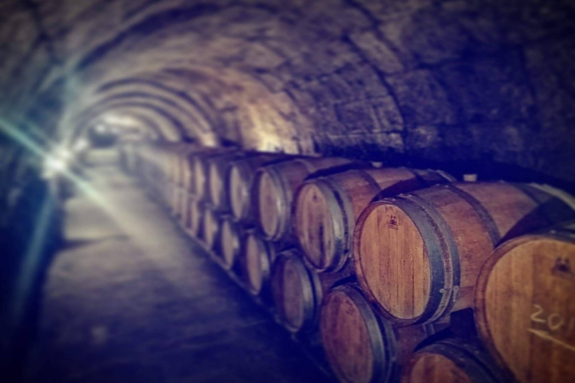 How temperature affects wine storage in a cellar