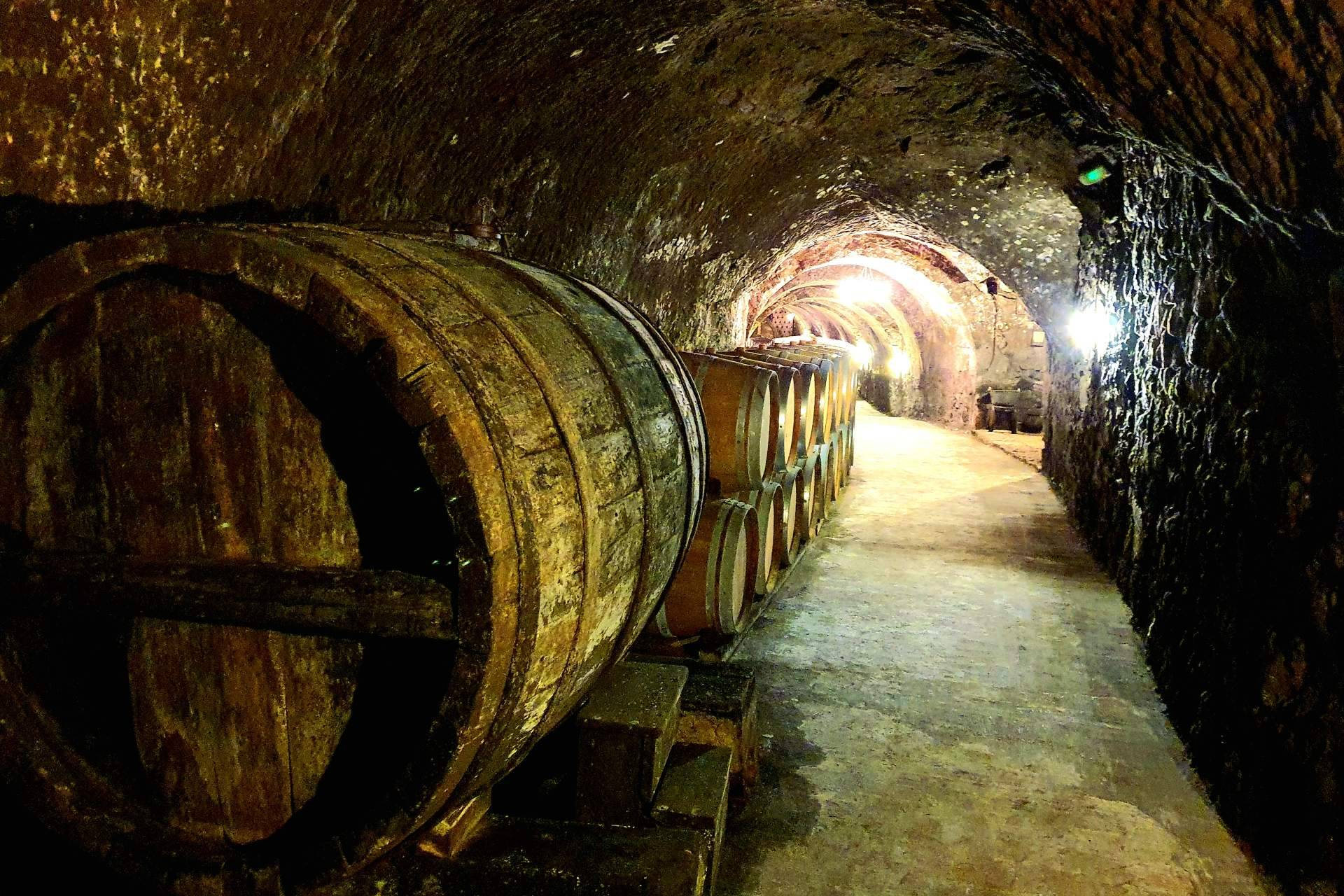 The difference between Ribera del Duero and Rioja, explained through their wines and landscapes