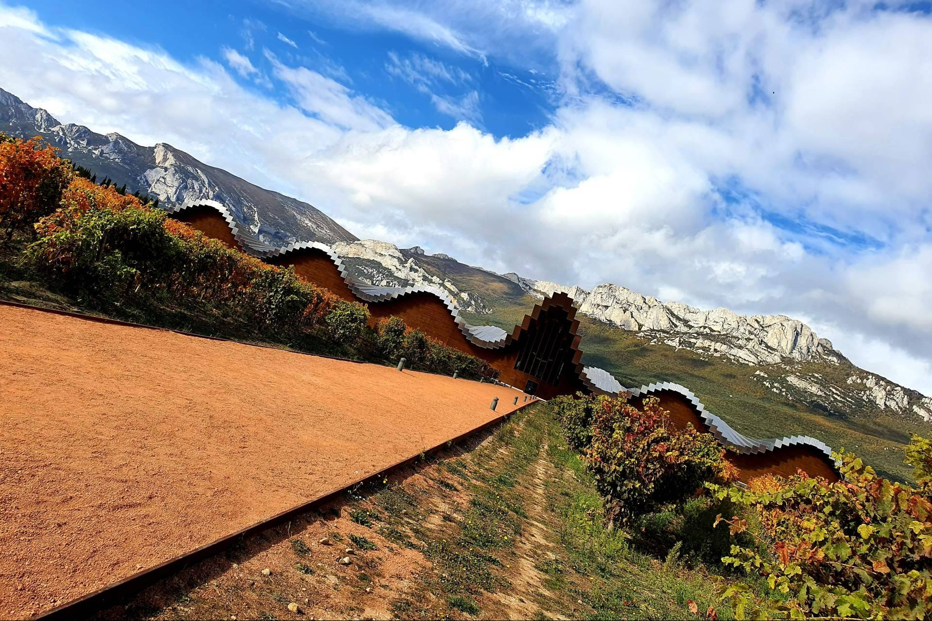 The secret behind blended wines, Wine Tours From Madrid explores why mixing grape varieties matters