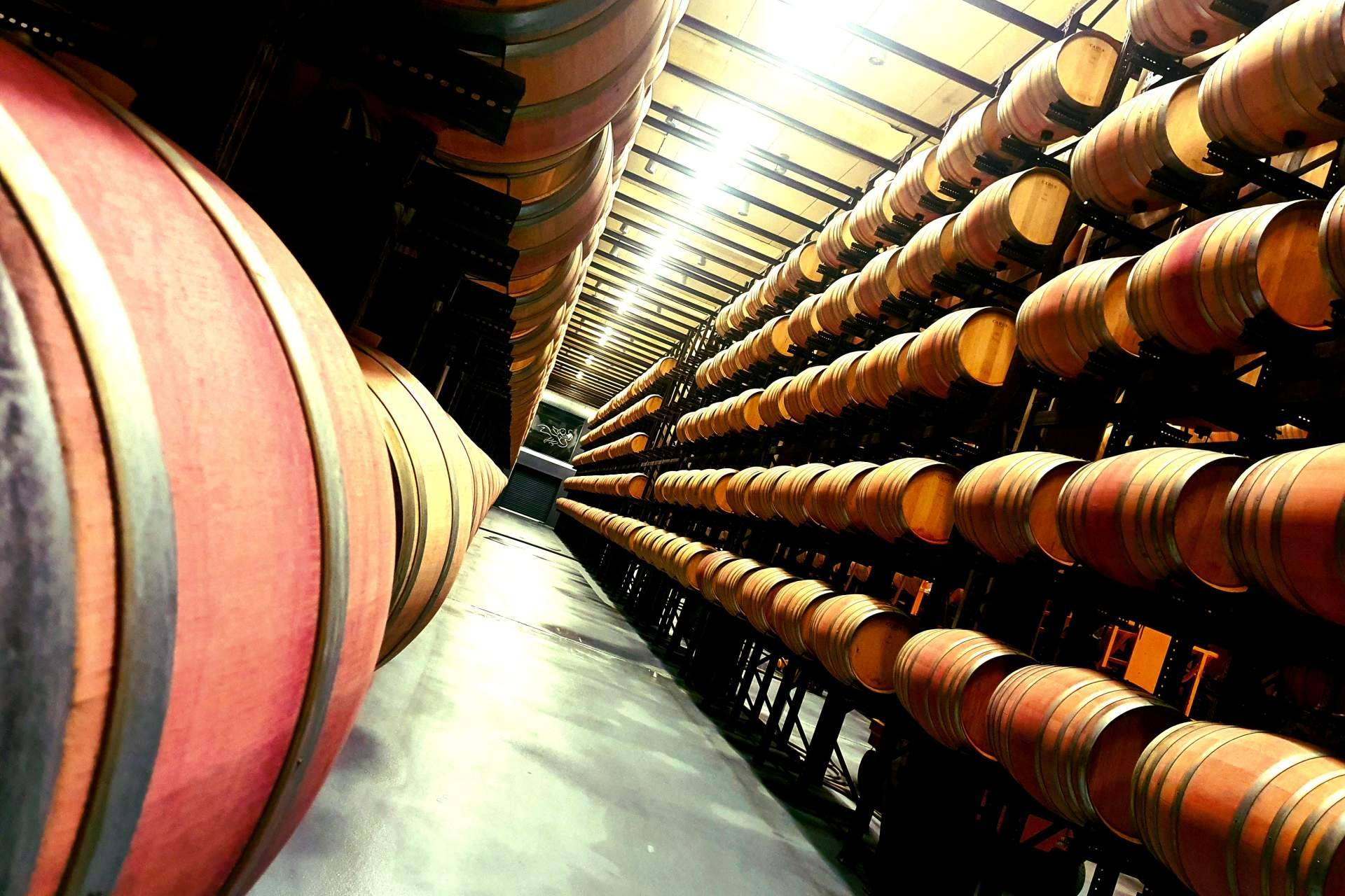 Barrel-aged wines, comparing French and American oak in traditional cellars
