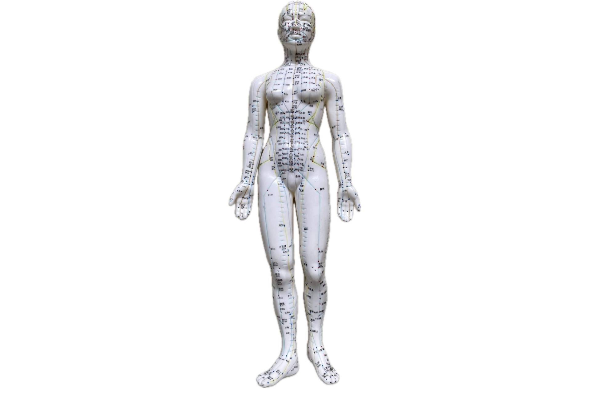 Why Morning Stiffness? Isn’t Just About Age? A Holistic Approach to Restoring Mobility and Vital Energy
